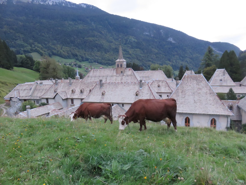 2017 09 10 vache au carmel